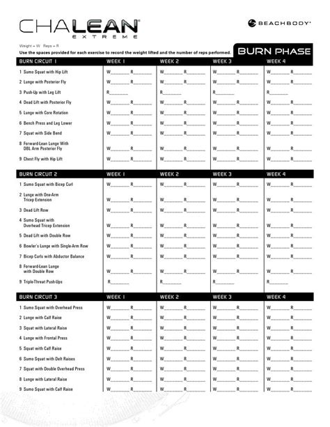 chalean extreme worksheets.